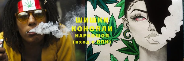 прущие грибы Няндома