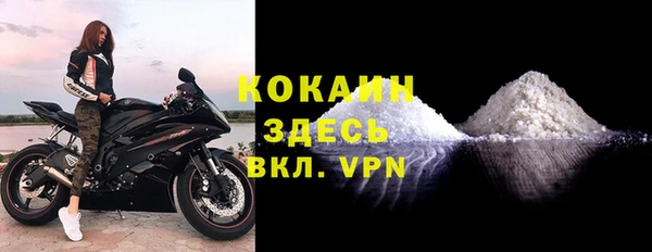 прущие грибы Няндома