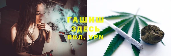 прущие грибы Няндома