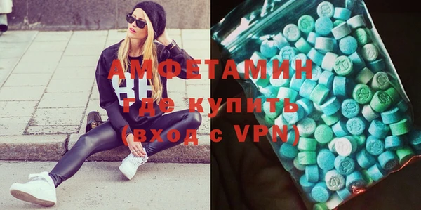 прущие грибы Няндома