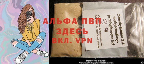 прущие грибы Няндома