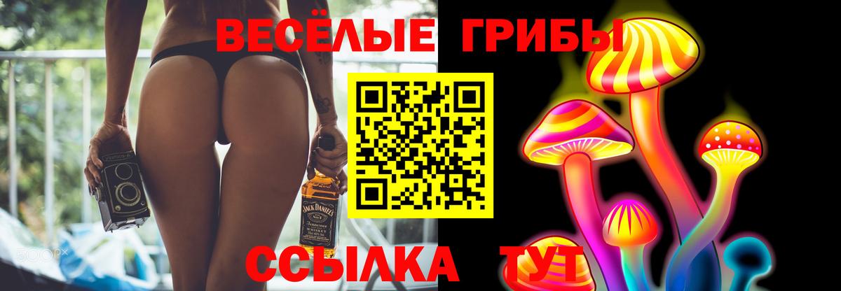 Арсеньев  Псилоцибиновые грибы мицелий  Вход с VPN 